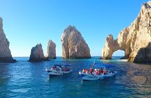4 Hours Snorkeling Tour in Cabo San Lucas and Corridor