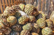 Full-Day Zapotec Experience in Oaxaca