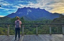 Kinabalu Park, Desa Dairy Farm & Poring Hot Springs Tour