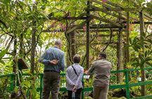 Kinabalu Park & Poring Hot Springs Tour with Desa Dairy Farm