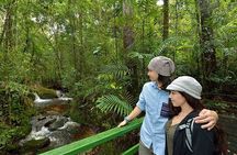 Kinabalu Park, Desa Dairy Farm & Poring Hot Springs Tour