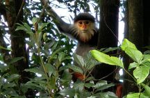 Hue Adventure Trekking and Sightseeing in Bach Ma National Park