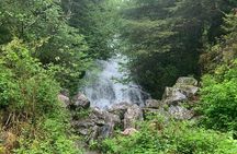 Custom Tour In Ketchikan