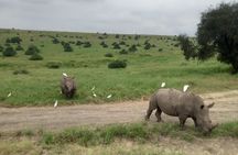 Half Day Nairobi National Park 