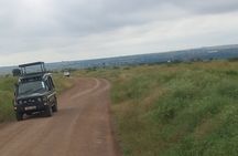 Half Day Nairobi National Park 
