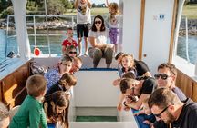 Glass boat tour Fažana with swimming stop