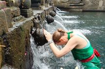 Bali Swing Volcano Rice Terrace And Waterfall Private Guided Tour