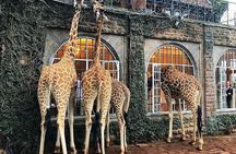 Private Tour To Giraffe Centre in Nairobi