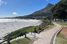 Full-Day Private Cape Town’s Beaches Tour