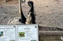 World of Birds, Kirstenbosch and Constantia Wine Private Day Tour