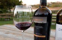 Cape Town Giraffe House Cheetah Encounter and Wine Tasting Tour