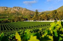 Private Tour of Constantia Wine & Kirstenbosch Gardens Experience