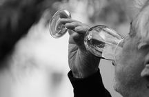 Visit our Craft Winery in Segovia