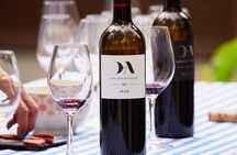 Visit our Craft Winery in Segovia