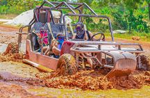 Buggy Ride with Cenote Coffee and Chocolate Tasting