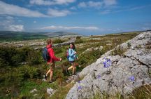 Walking in the Burren with perfumery visit. Clare. Guided 3 hours