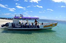 Saona Island Excursion: Small Group on Motorized Trimaran
