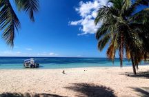 Saona Island Excursion: Small Group on Motorized Trimaran