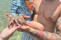 Miami Boat Tour to Raccoon Island and Sandbar (Private 2 or 4 Hr)