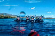 Silfra Fissure Snorkeling From Reykjavík - Free Underwater Photos