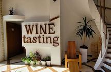 Durrës Countryside Vineyard Experience with Wine & Food Pairing