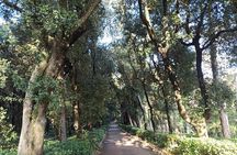 Tour of the Historical Museum and Miramare Castle Park in Trieste