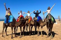 Private Full Day Tour in Tangier including Camel ride