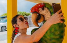 Full Island Safari Tour and Baby Beach by Cross Aruba Tours