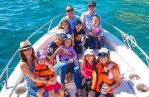 Private Humpback Whale Watching in Cabo San Lucas