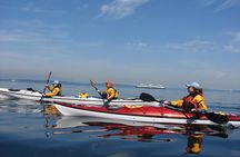 Alki Lighthouse Sea Kayak Tour