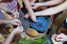 Uvita Chocolate Tour