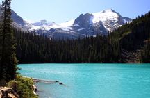 Whistler, Brandywine Falls, and Joffre Lakes Private Tour
