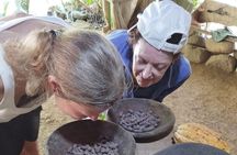 Uvita Chocolate Tour