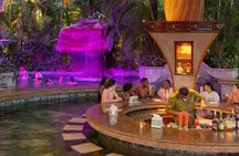 Baldi Hot Springs Thermal Paradise in Arenal