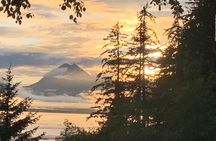 Alaska Nature Immersion: Forest Therapy Tour in Haines, Alaska