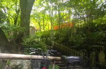 Hiroshima Scenic Cycling Guided Tour