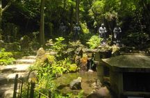Hiroshima Scenic Cycling Guided Tour