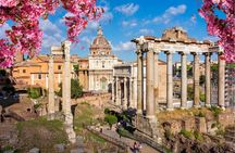 Rome in a Day Audio Guided Bus Tour with Colosseum entry ticket