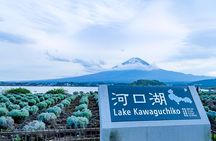 Mt FUJI Day Tour with Private Car and English Speaking Guide