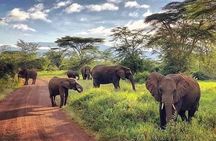 Victoria Falls & Safari Adventure: Both Sides Tour + Rhino Walk
