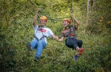 Day Tour to Kereita Forest and ZipLining