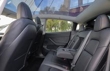 Customized Private Tour in Tesla to Zaandam, Windmills & Volendam