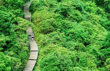 The Big Buddha & Lantau Island - Private Tour with Private Car