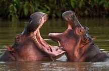 Day Tour to Hell’s Gate National Park And Lake Naivasha