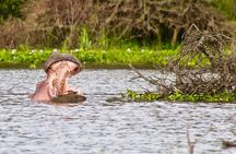 Day Tour to Hell’s Gate National Park And Lake Naivasha