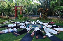 Yoga Class in The Morning & Healing Tours