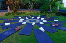Yoga Class in The Morning & Healing Tours