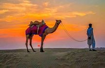4 Hours Desert Safari