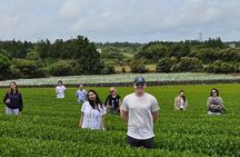 Private Tour in West Jeju Island with Transfer
