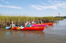 Dolphin Kayak Tour on Folly Beach 